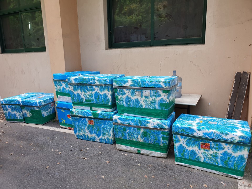 2000769928_oqVM5HIw_e71605cc7175f125dc66cc7df9b529b01ee72cf9.jpg 이미지크게보기